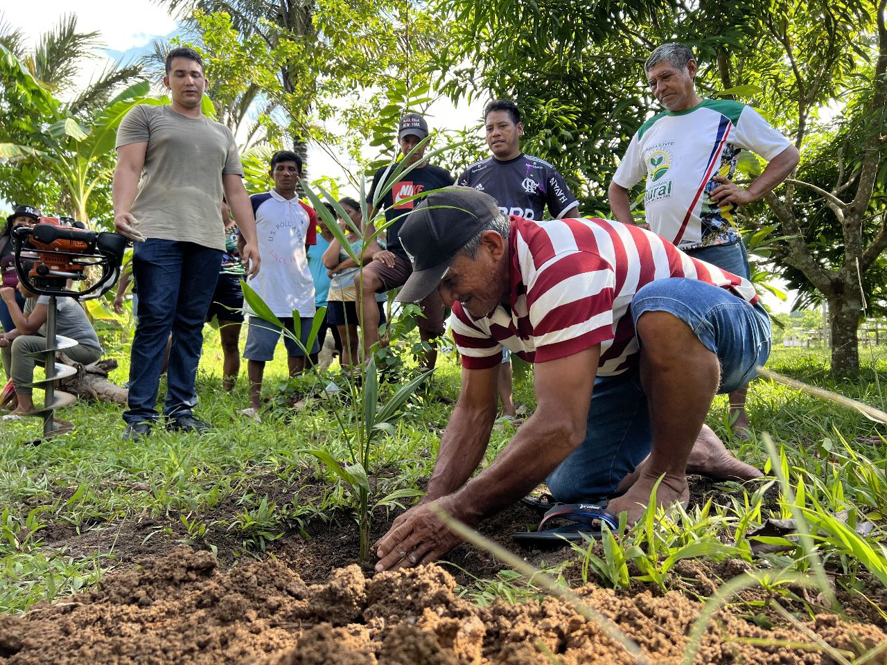 Viveiro Comunitário: Sempa e Idam realizam curso de boas práticas para o cultivo do açaí