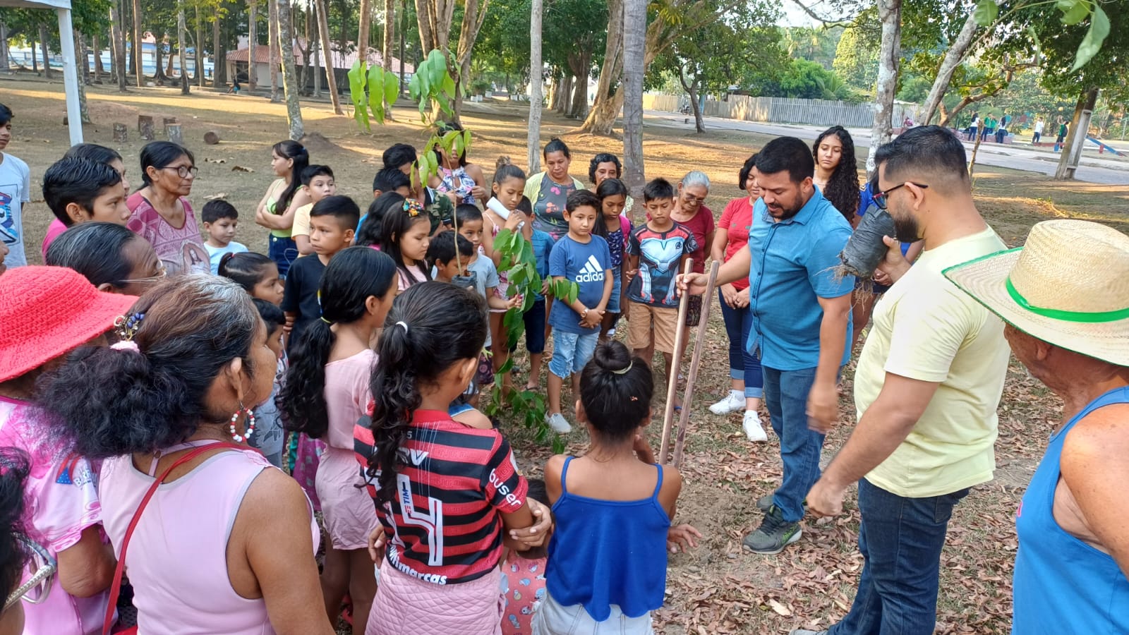 Prefeitura de Barreirinha promove atividades em comemoração ao “Dia da Árvore”