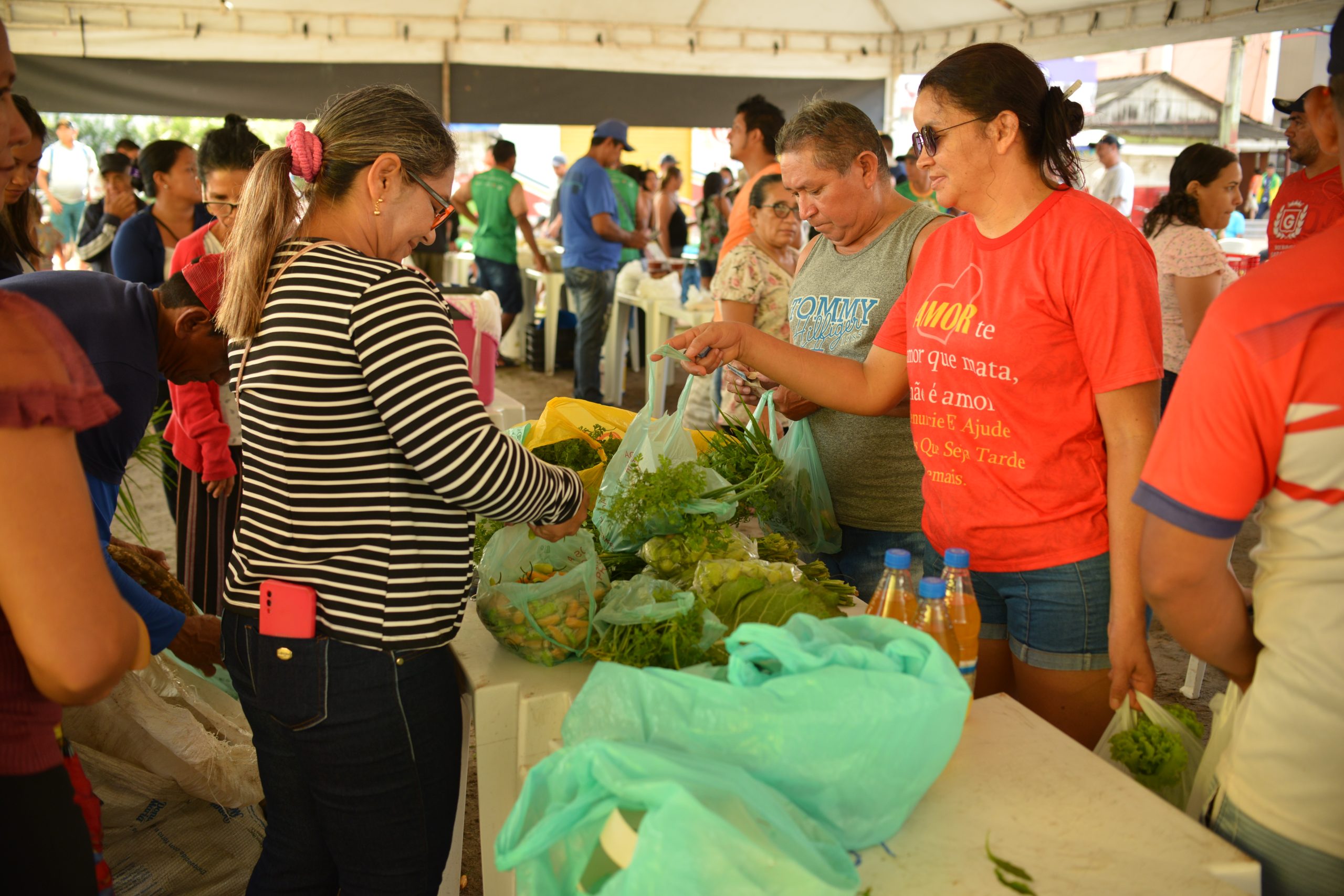 Prefeitura de Barreirinha realiza 1ª Feira Livre da Agricultura, Cultura e Economia Criativa de 2024 nesta sexta-feira (01/03)